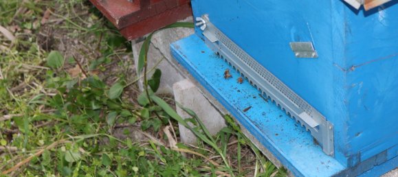 Дом с 6 комнатами в Понцано ди Фермо, Италия № 66098 44