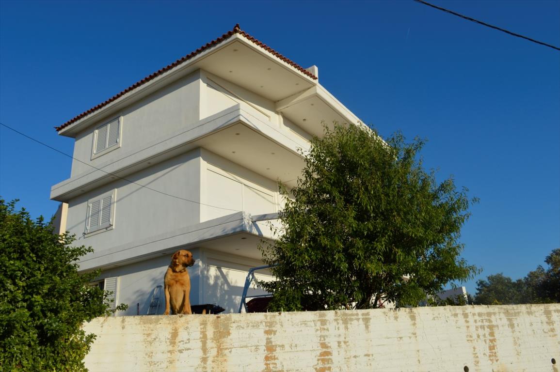 6 bedrooms Commercial property in Palaia Fokaia, Greece No. 6227