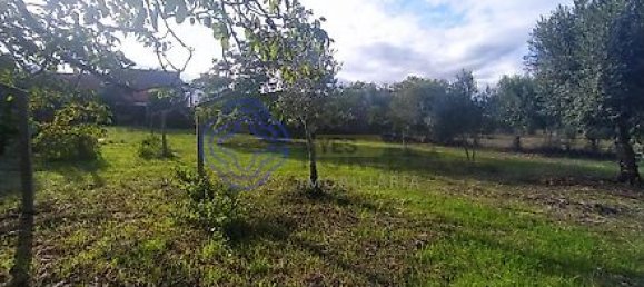 Casa T2 em Torres Novas, Portugal N.º 14482 19