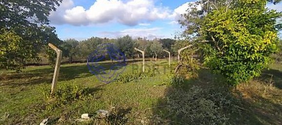 Casa T2 em Torres Novas, Portugal N.º 14482 20