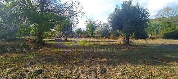 Casa T2 em Torres Novas, Portugal N.º 14482 17