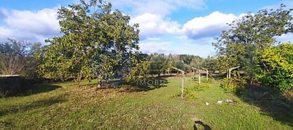 Casa T2 em Torres Novas, Portugal N.º 14482 21