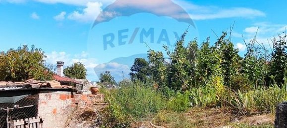  قطعة أرض في Santa Comba Dao, Portugal 4900متر مربع رقم 47978 6