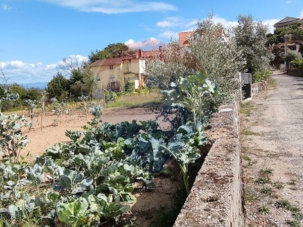  قطعة أرض في Santa Comba Dao, Portugal 4900متر مربع رقم 47978