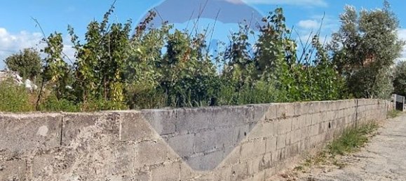  قطعة أرض في Santa Comba Dao, Portugal 4900متر مربع رقم 47978 5