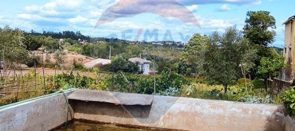  قطعة أرض في Santa Comba Dao, Portugal 4900متر مربع رقم 47978 12