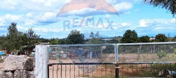  قطعة أرض في Santa Comba Dao, Portugal 4900متر مربع رقم 47978 9