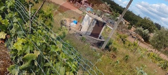  قطعة أرض في Santa Comba Dao, Portugal 4900متر مربع رقم 47978 10