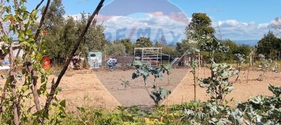  قطعة أرض في Santa Comba Dao, Portugal 4900متر مربع رقم 47978 3