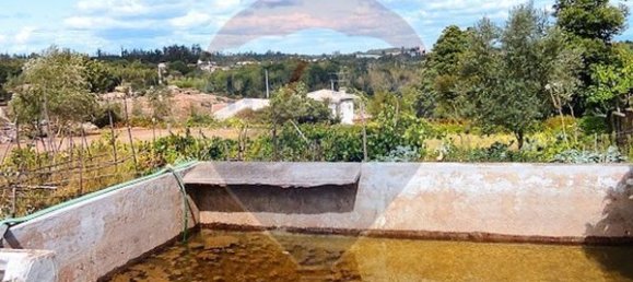  قطعة أرض في Santa Comba Dao, Portugal 4900متر مربع رقم 47978 7