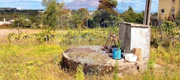  قطعة أرض في Santa Comba Dao, Portugal 4900متر مربع رقم 47978 8