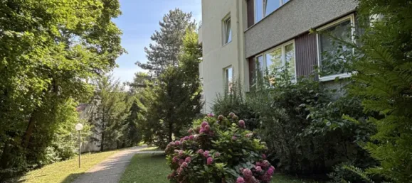 2 rooms Apartment in Baden, Austria No. 222687 15