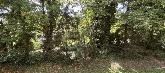 2 rooms Apartment in Baden, Austria No. 222687 2