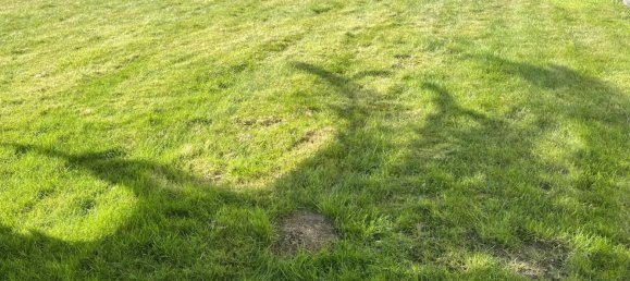 6 chambres Maison à Bohars, France No. 206514 16