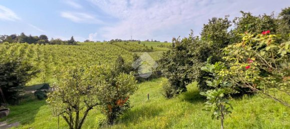 2 bedrooms House in Montescano, Italy No. 109566 31