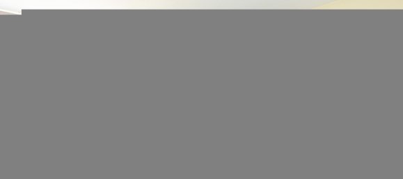 4 Schlafzimmer Haus in Amarante, Portugal, Nr. 27572 5