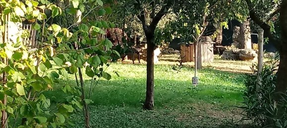 11-Zimmer Villa in Assisi, Italy, Nr. 256914 14