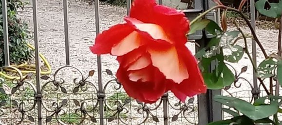 11-Zimmer Villa in Assisi, Italy, Nr. 256914 29