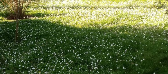 11-Zimmer Villa in Assisi, Italy, Nr. 256914 24