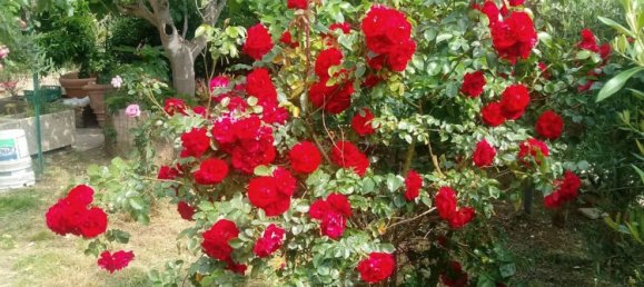 11-Zimmer Villa in Assisi, Italy, Nr. 256914 15