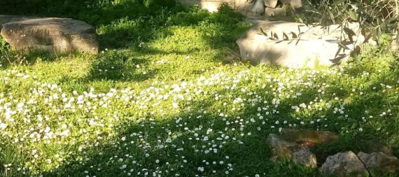 11-Zimmer Villa in Assisi, Italy, Nr. 256914 19