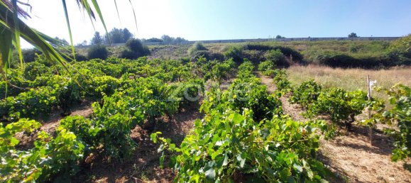 قطعة أرض في Torres Vedras, Portugal رقم 81362 25