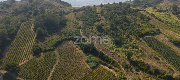 قطعة أرض في Torres Vedras, Portugal رقم 81362 2