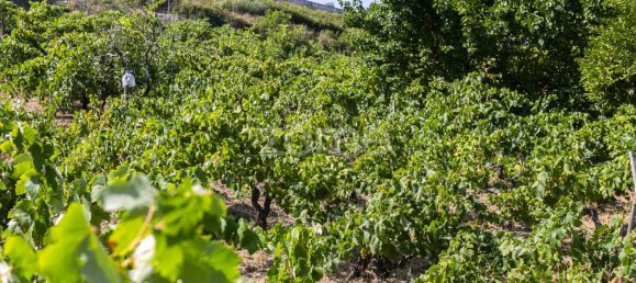 قطعة أرض في Torres Vedras, Portugal رقم 81362 4