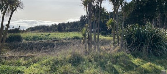 Terreno en Horowhenua, New Zealand 4248 m² No. 14 7