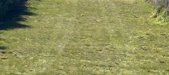 Terreno en Horowhenua, New Zealand 4248 m² No. 14 3