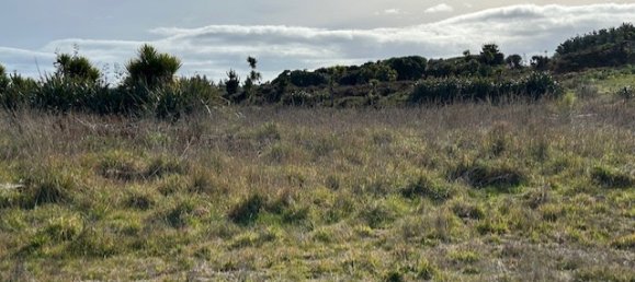 Terreno en Horowhenua, New Zealand 4248 m² No. 14 17