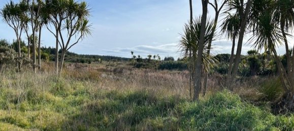 Terreno en Horowhenua, New Zealand 4248 m² No. 14 5