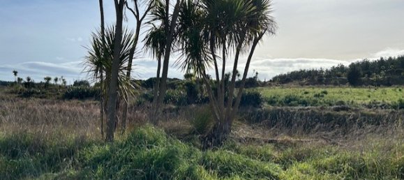 Terreno en Horowhenua, New Zealand 4248 m² No. 14 6