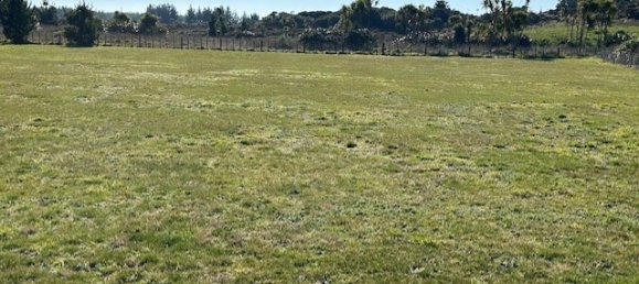 Terreno en Horowhenua, New Zealand 4248 m² No. 14 9