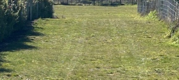 Terreno en Horowhenua, New Zealand 4248 m² No. 14 21