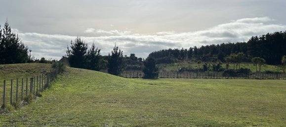 Terreno en Horowhenua, New Zealand 4248 m² No. 14 2