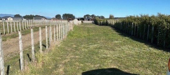 Terreno en Horowhenua, New Zealand 4248 m² No. 14 12