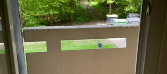 1 bedroom Apartment in Enzkreis, Germany No. 235949 4