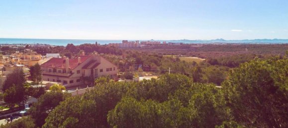 4 bedrooms Villa in Alicante, Spain No. 176517 28