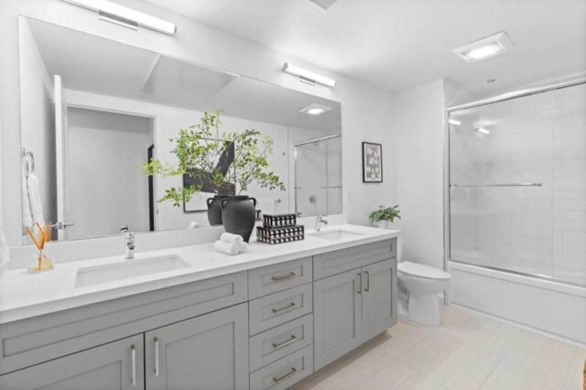 Studio in Belmont, USA, Nr. 272276