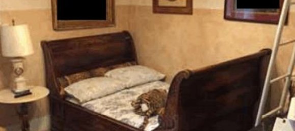 35 rooms House in Vaiano, Italy No. 40000 28