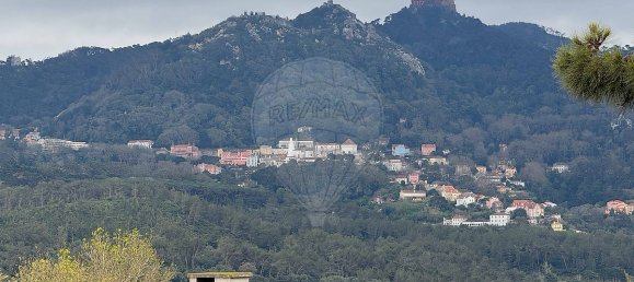 4 غرف نوم منزل في Sintra, Portugal رقم 54656 11