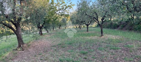 Terreno de 1 divisão em Pescia, Italy N.º 322185 9