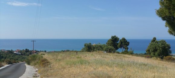 4062m² Hotel in Chalkidiki, Greece No. 5664 3