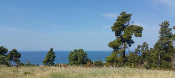 4062m² Hotel in Chalkidiki, Greece No. 5664 2