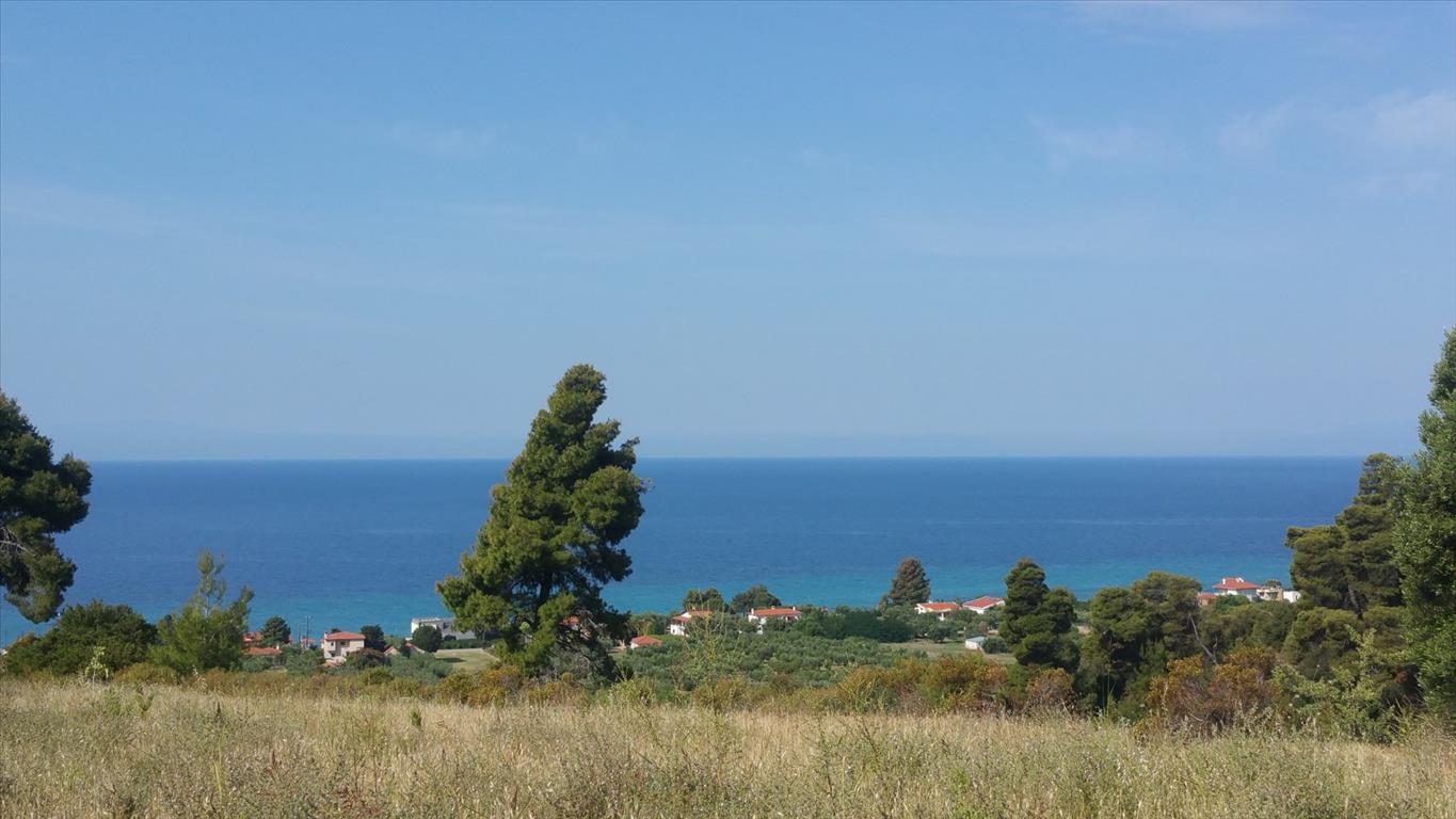 Hotel em Chalkidiki, Greece 4062 m² N.º 5664