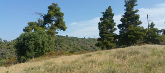 4062m² Hotel in Chalkidiki, Greece No. 5664 8