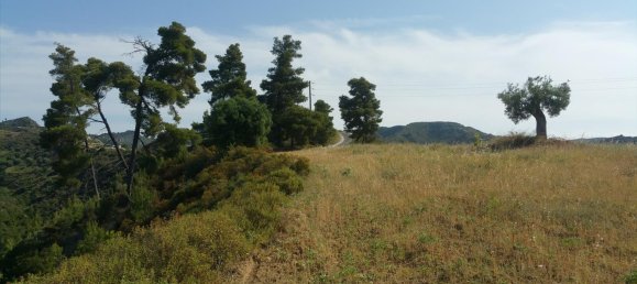 4062m² Hotel in Chalkidiki, Greece No. 5664 9