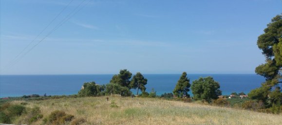 4062m² Hotel in Chalkidiki, Greece No. 5664 11