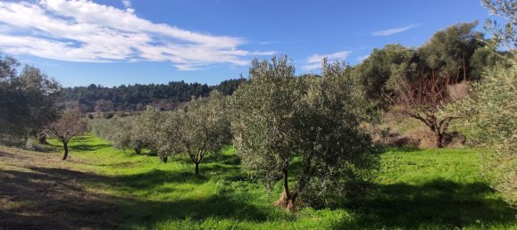 Hotel in Chalkidiki, Greece 14000m², Nr. 4013 6